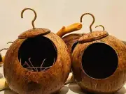 Natural Coconut Shell Nest For Bird Hut Cage House Feeder Pet Parrot Toys