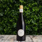 2022 Marius et Jeannette Pinot Noir | The Wine Collective