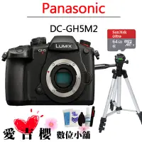 在飛比找蝦皮商城優惠-PANASONIC 國際牌 GH5II GH5M2 GH5 