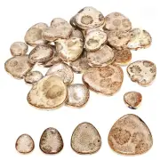 100g Ceramic Mosaic Tiles, Pebble Brown Glazing Ceramic Tiles