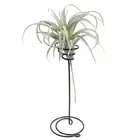 1pc Artificial Pineapple Grass Air Plants Fake Flowers DIY Home Wall Decorat F5❤