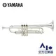 【全方位樂器】YAMAHA Bb Trumpet 降B調 小號 小喇叭 YTR-6335S II YTR6335S II 管樂班指定款