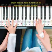 Piano Keyboard Sticker Label Removable Large Note Letter For 37 49 54 61 76 FFG