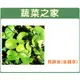 【蔬菜之家】M08.馬蹄金種子(金錢草)500顆 種子 園藝 園藝用品 園藝資材 園藝盆栽 園藝裝飾