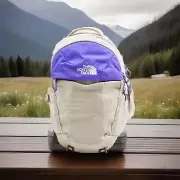 The North Face Women’s Recon Backpack Gravel Optic Violet NF0A52SUY18