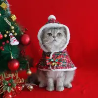 在飛比找蝦皮購物優惠-耶誕必備 貓咪耶誕斗篷 貓帽子 狗狗新年披風 保暖狗被子 貓