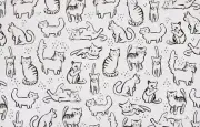 Set Of 3 Same Plastic Printed Placemats, 11"x17", BLACK & WHITE CATS, HL