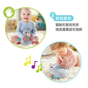 Fisher-Price 費雪 安撫睡眠/音樂震動小海象【佳兒園婦幼館】