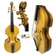 Art Song Maestro 6 string 27" viola da gamba ,carving scroll,rib rosewood