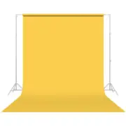 Savage Widetone Sand Yellow Studio Photography Prop Backdrop Background Paper