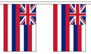 HAWAII U.S. STATE 3 metre BUNTING 10 FLAGS flag USA AMERICA AMERICAN