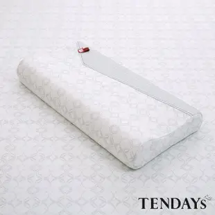 【TENDAYS】包浩斯簡約風紓壓枕(10cm高 記憶枕 兩色可選)