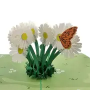 Color Pop Cards - Daisy Patch Pop Up Card