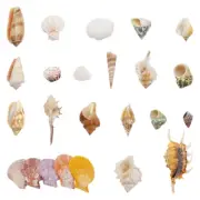 50PCS/Pack Mixed Sea Shell Conch Shell for Fish Tank Aquarium DIY Decor Ornament