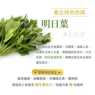 【活萃泱】 膳青汁 (日本抹茶 大麥若葉 大麥苗粉 明日葉 膳食纖維 蔬果補給 排便順暢)