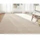 【范登伯格】比利時 FJORD都會時尚簡約進口大地毯-簡潔 200x290cm