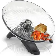 Hermit Crabs Wheel Hermit Crab Exercise Wheel Silent Running Wheel Hermit Cra...