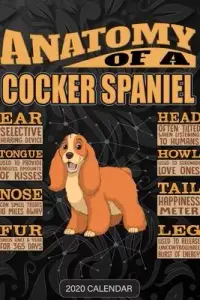 在飛比找博客來優惠-Anatomy Of A Cocker Spaniel: C