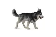 CollectA - Siberian Husky Large Animal Figurine