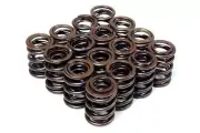 Blox Racing Dual Valve Springs for Fits DOHC VTEC