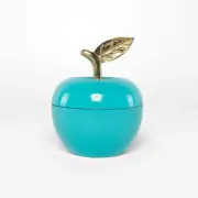 Rayell Decor Adam Home Decor Box 8x10x8cm Jewellery/Trinket/Key Storage Aqua