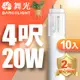 【DanceLight舞光】T8 4呎 20W LED玻璃燈管-10入(白光/自然光/黃光)