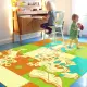 【范登伯格】比利時 奧瓦光澤絲質地毯-俏皮虎(140x200cm)