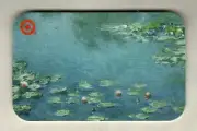 TARGET Art Institute of Chicago, Claude Monet ( 2008 ) Gift Card ( $0 )