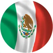 Slipmat Slip Mat Felt for any 12" Turntable LP DJ Record Deck Player FLAG MEXICO