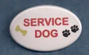 SERVICE DOG with paws & bone - service dog button w/pin back
