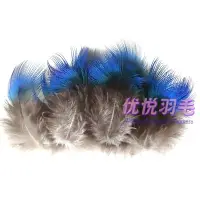 在飛比找蝦皮購物優惠-羽毛裝飾 DIY飾品配件 頭飾胸花羽毛 稀有珍貴羽毛孔雀藍片
