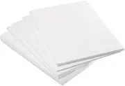 Lexicon Select Safe Print Lino Block Printing Tiles - Polystyrene Sheets for Printing - A4 Size Pack of 25 with Hints & Tips Guide