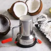 Stainless Steel Coconut Scraper Grater Vacuum Base Coconut Scraper