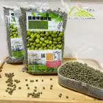 【小農夫】台南5號-國產粉綠豆500GX5包