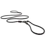 EzyDog Luca Lite Dog Leash- Red