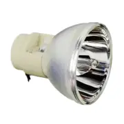 5J.J7L05.001 Replacement Lamp Bulb for BenQ W1070,W1080ST,W1080ST+,W1250