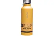 Insulated Stainless Steel Bottle (Marigold) - 500mL