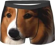 [QMNEHJ] Shetland Sheepdog Men's Boxer Briefs Breathable Stretch Underwear Moisture-Wicking Trunks for Men