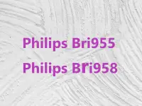 在飛比找露天拍賣優惠-Philips 飛利浦 bri958 bri955 配件