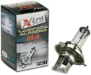 Bottari Halogen Bulb 24 V H4 70/75 W P43T
