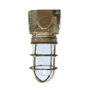 Caged Brass Ceiling Light with Clear Glass Globe - Nautical Fixture