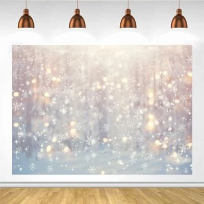 Winter White Snowflake Photography Backdrop Christmas Snow Wonderland 6x4ft