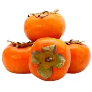 30 Persimmon Seeds Organic Fruit Tree Seed Heirloom Diospyros