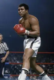Muhammad Ali looks for an opening v Alfredo Evangelista, not pictu- Old Photo