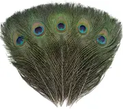 12 PCS Real Natural Peacock Eye Feathers 10-12 Inch for DIY Craft, Wedding and H