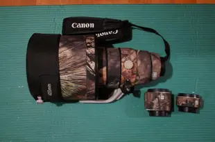 Canon EF 400mm F:2.8 L IS II + 1.4X III +2X III