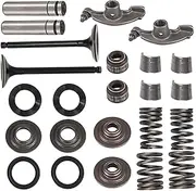Cylinder Valve Spring Kit for Big Bear Grizzly Raptor Warrior 350 400 3Y1-12116-00 93210-09350-00