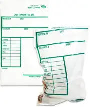 45220 Cash Transmittal Bags W/Printed Info Block, 6 X 9, Clear, 100 Bags/Pack