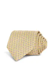 Ferragamo Silk Classic Dragonfly Tie