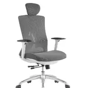 STEELY High Back Ergonomic Strong Lumber Back Support Chair